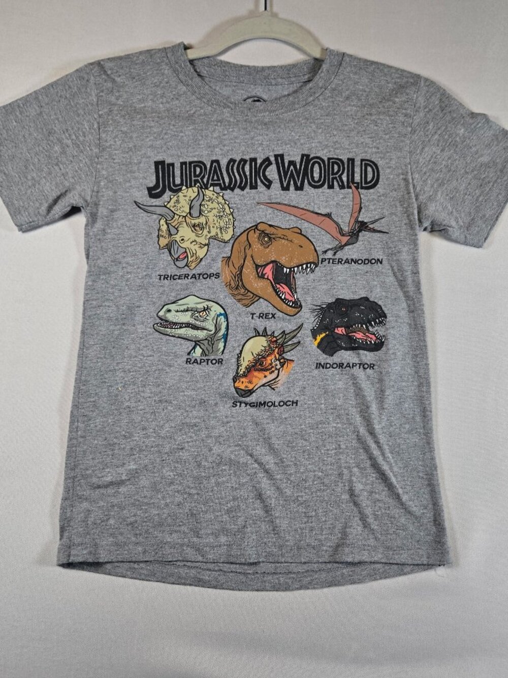 Jurassic World Boys Dinosaur Graphic T-Shirt Size S Gray T-Rex Raptor Triceratop